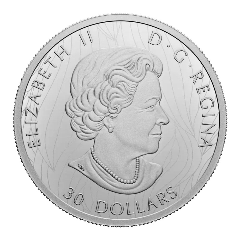 2022 Canada 2 oz Pure Silver $30 The Mighty Bison Proof Coin