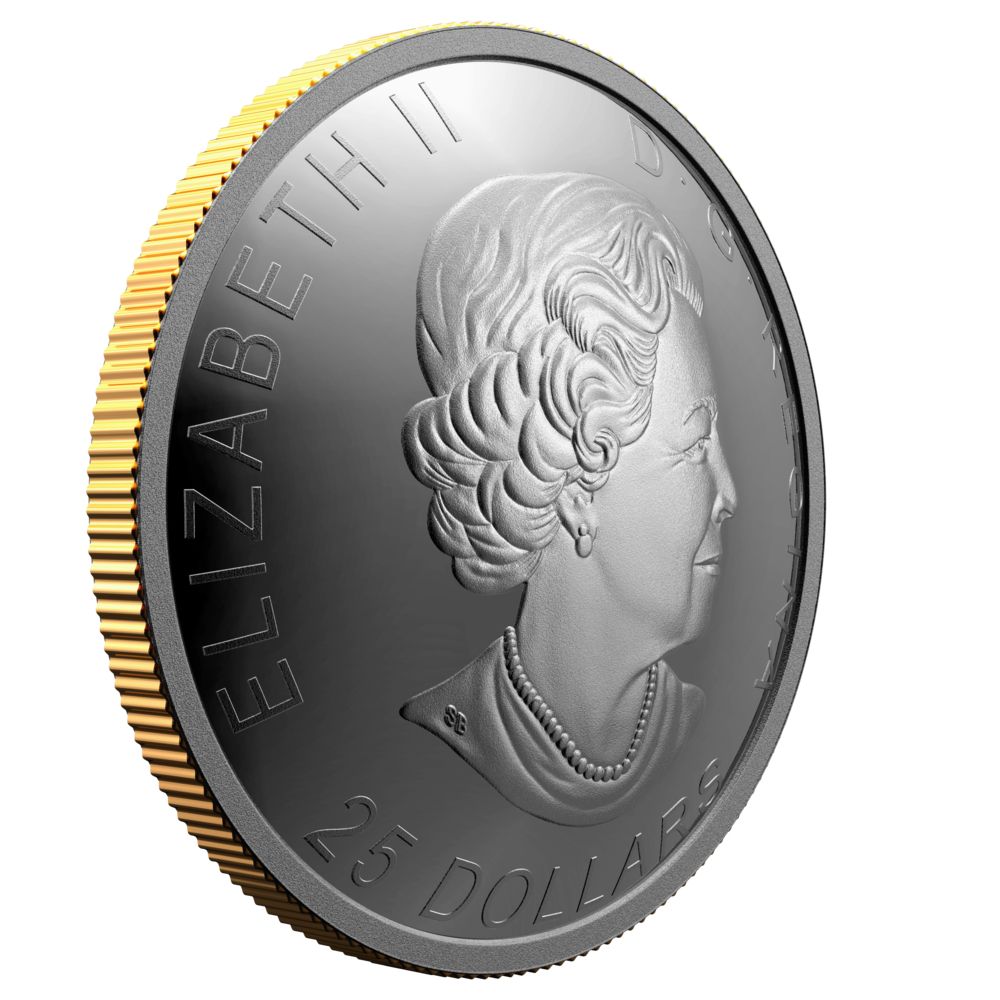 2021 $25 Silver 125th Anniversary Klondike Gold Rush: Panning for Gold Coin