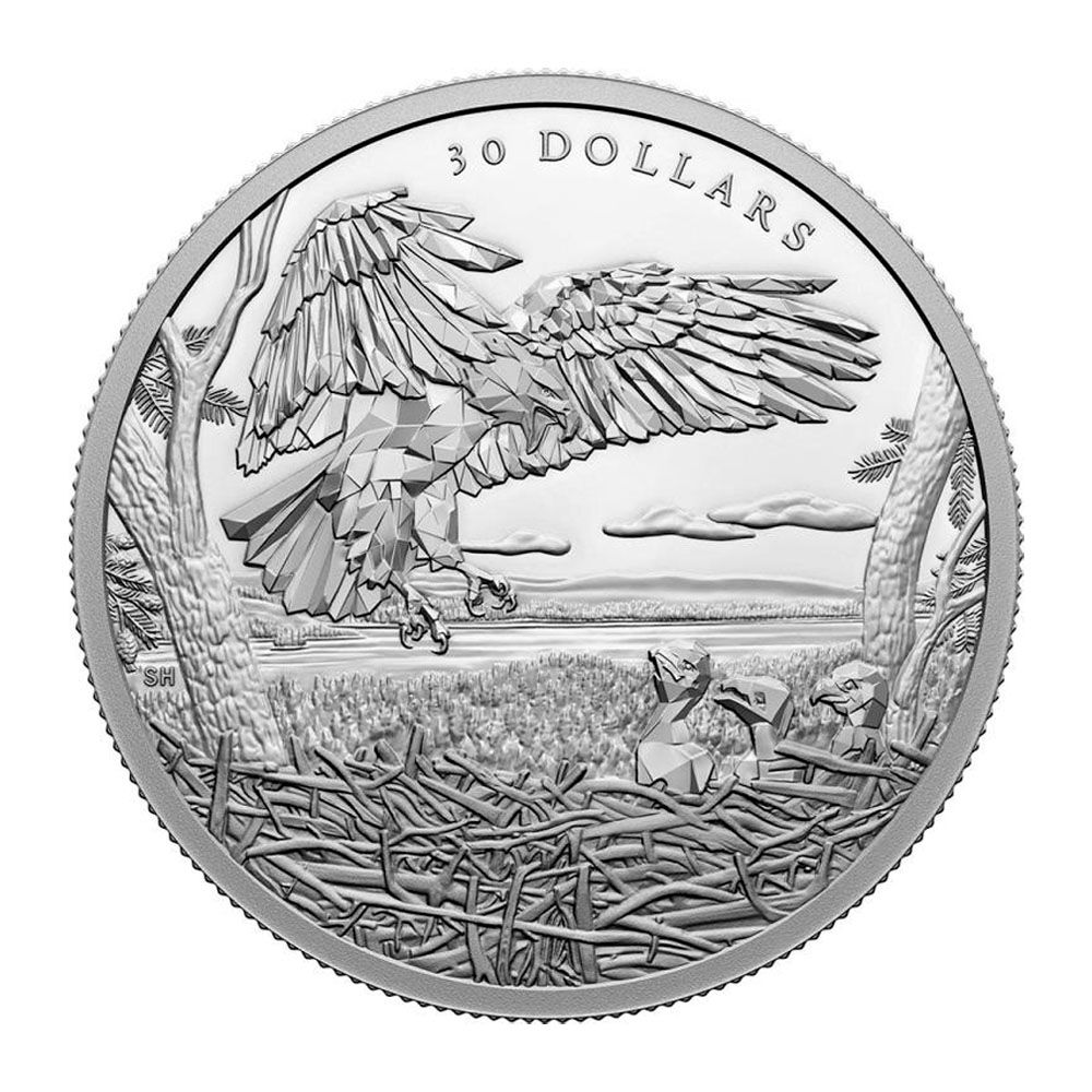 2022 2oz Silver Proof Coin - Multifaceted Bald Eagle 1