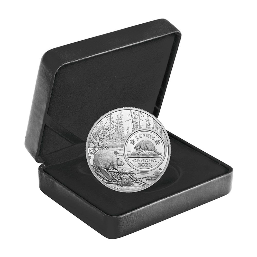 2022 Canada 5oz Silver The Bigger Picture: The Beaver 3