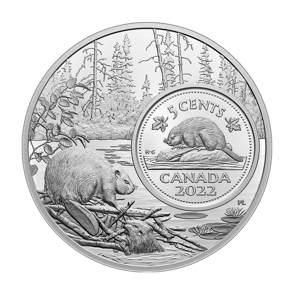 2022 Canada 5 oz .9999 Silver The Bigger Picture - The Beaver 5c Proof Coin
