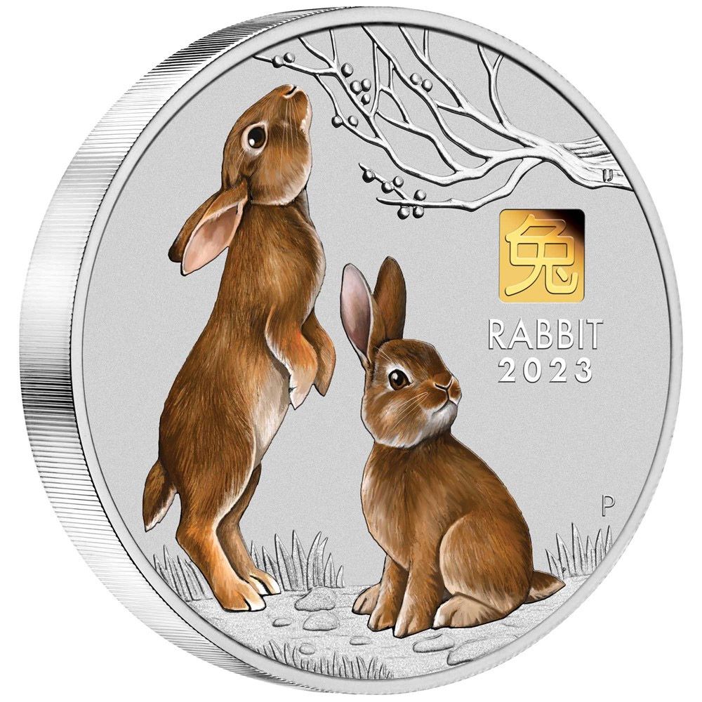 2023 1kg Silver Year of the Rabbit with Gold Privy Mark-2