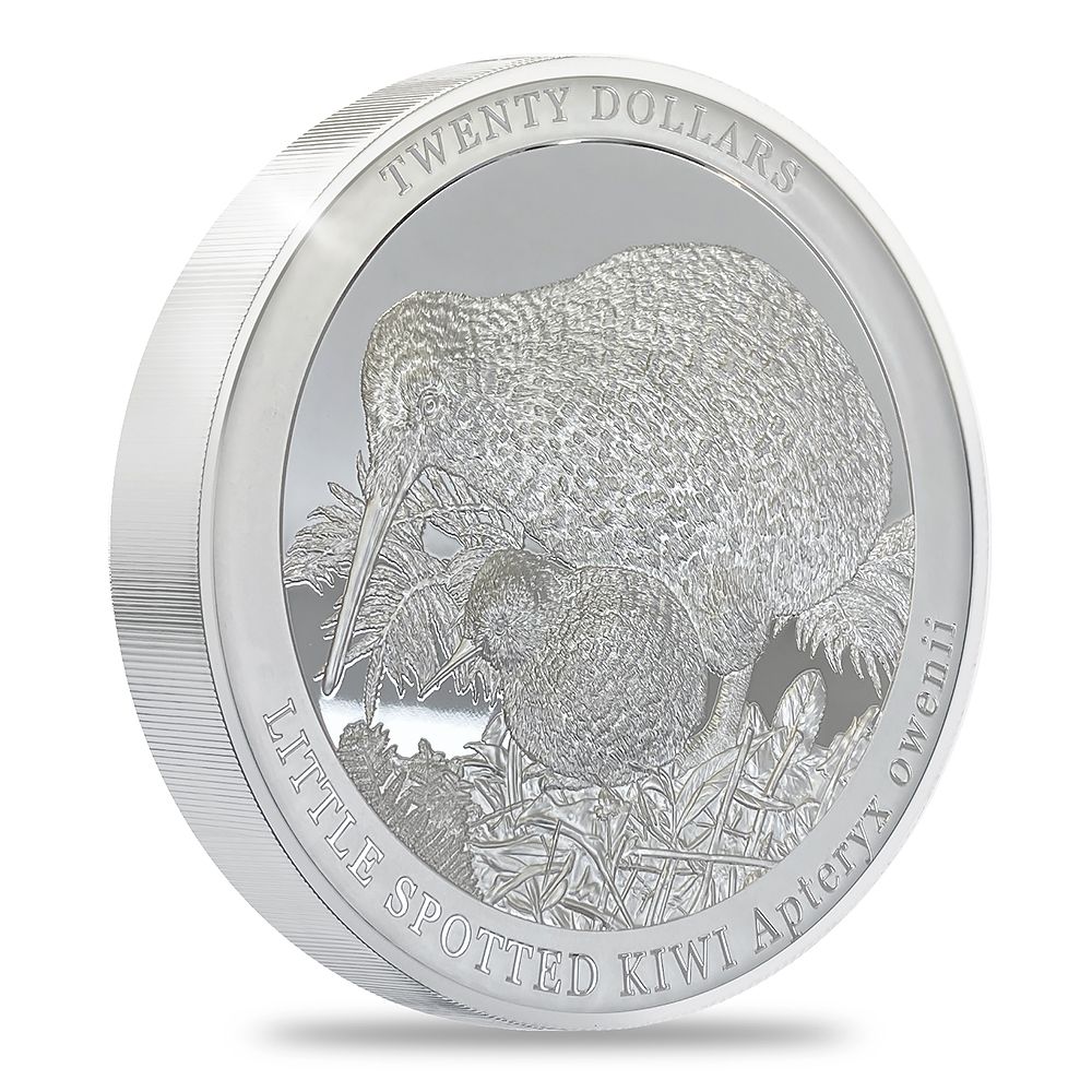 2022 1kg Silver Kiwi Proof Coin