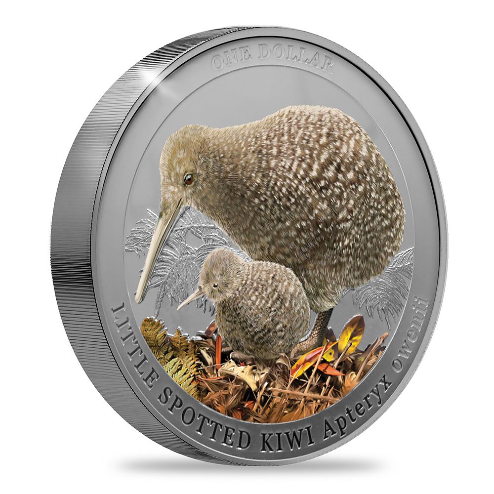 2022 1oz Silver Kiwi Proof Coin with Selective Colour