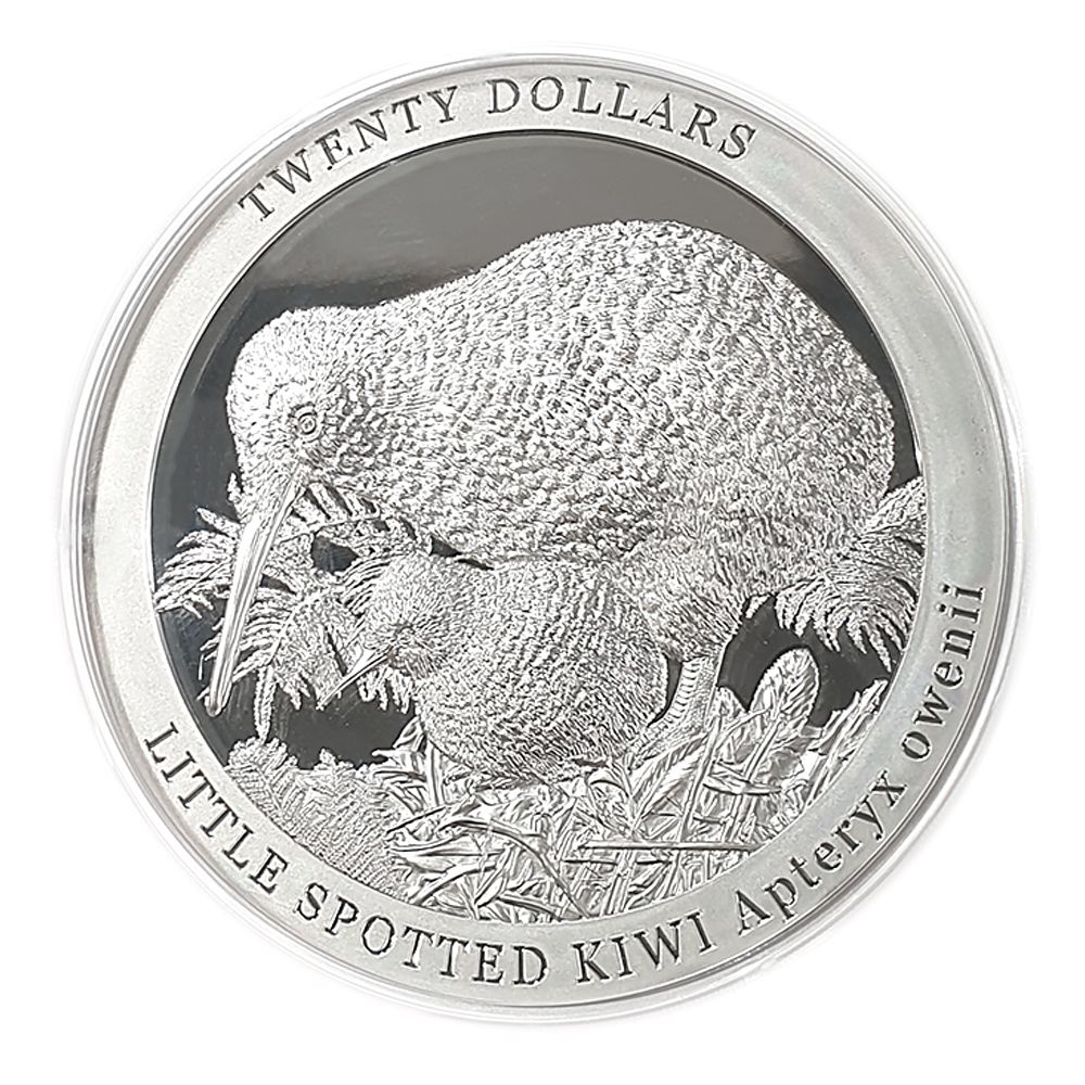 2022 1kg Silver Kiwi Proof Coin