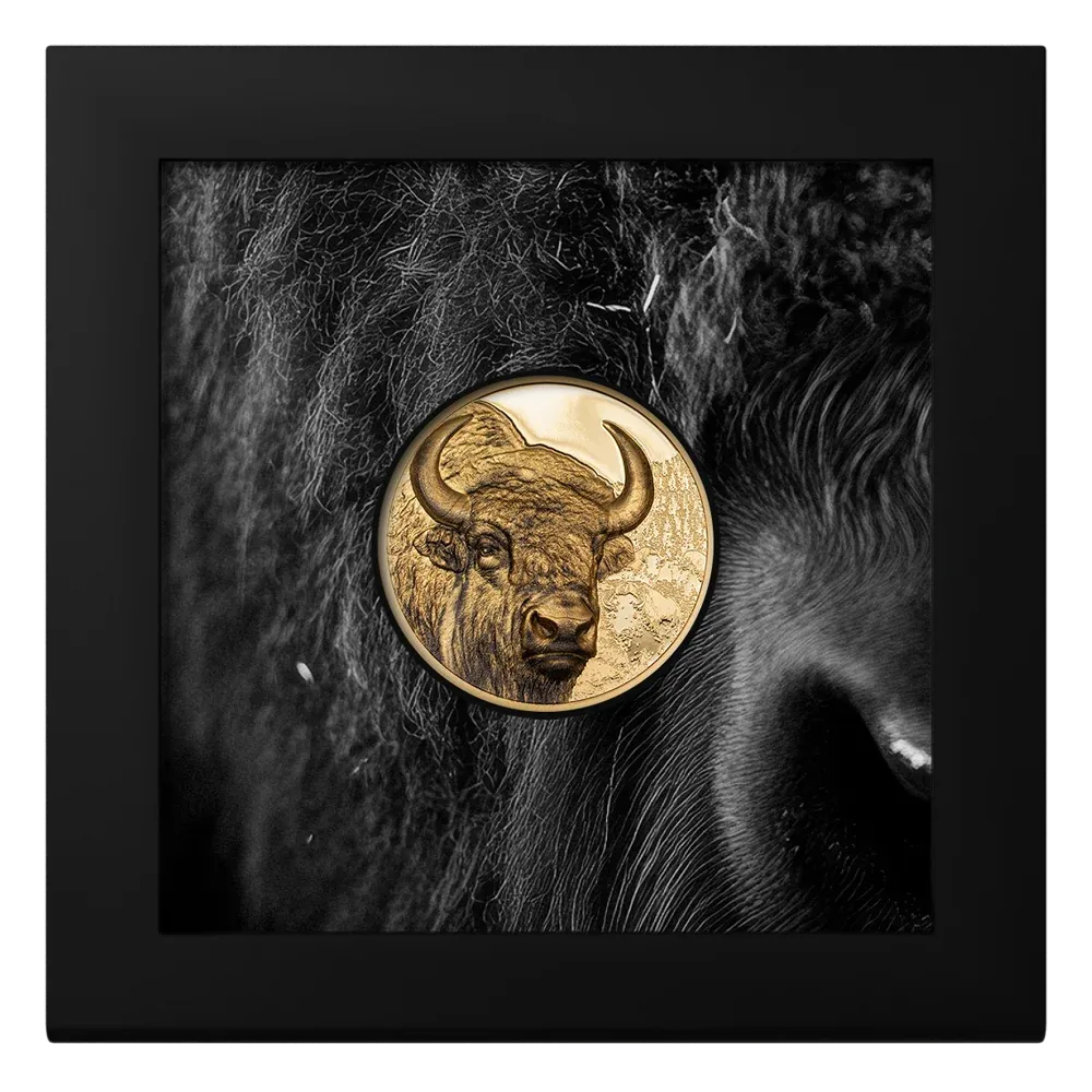2025 Mongolia 1 oz Pure Gold Wild Bison Proof Coin - MyGold