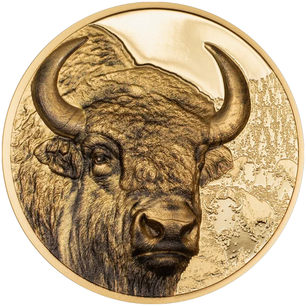 2025 Mongolia 1 oz Pure Gold Wild Bison Proof Coin