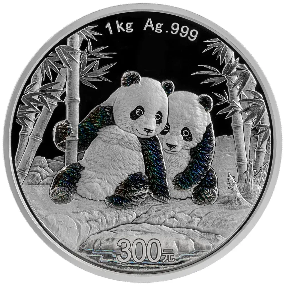 2026 China 300 Yuan 1 kg .999 Silver Panda Proof Coin