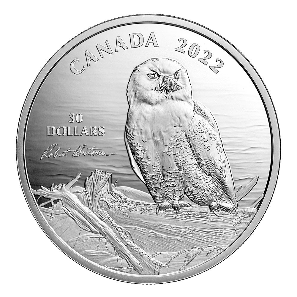 2022 2 oz. Fine Silver Coin – Snowy Owl on Driftwood by Robert Bateman