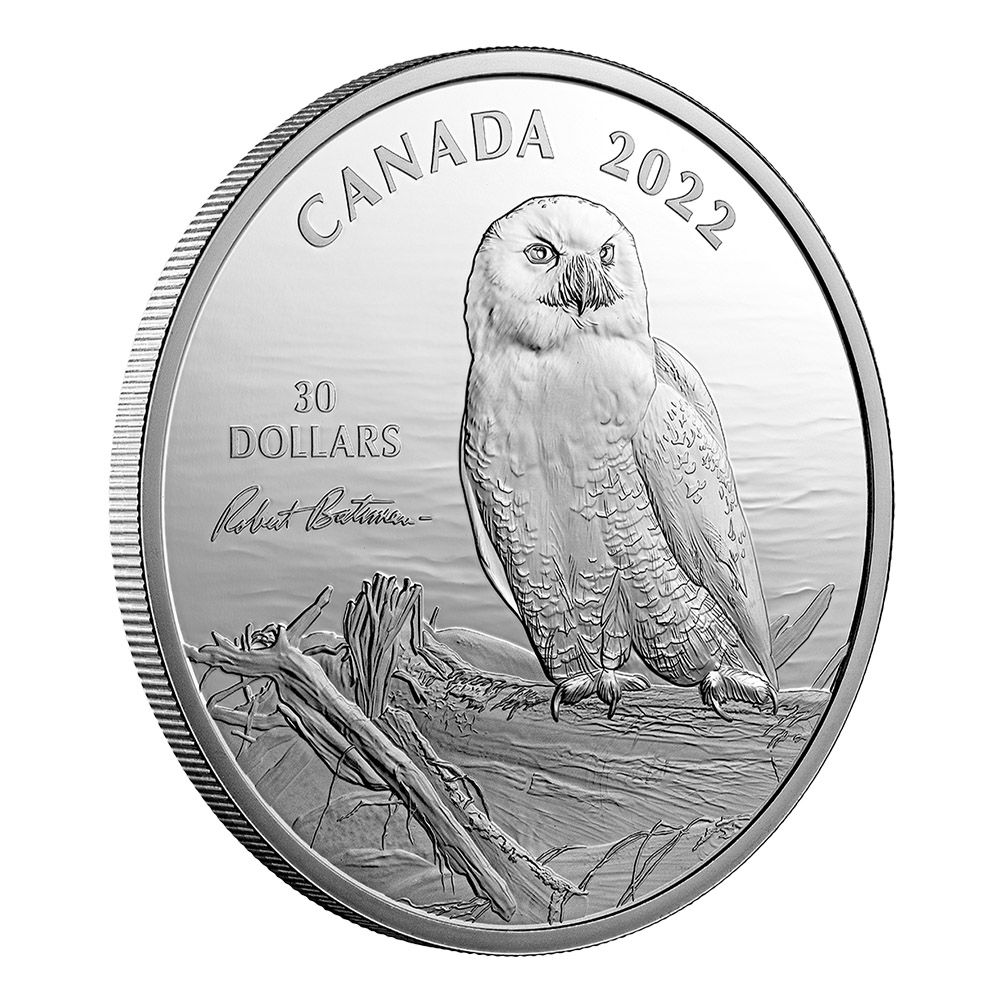 2022 2 oz. Fine Silver Coin – Snowy Owl on Driftwood by Robert Bateman