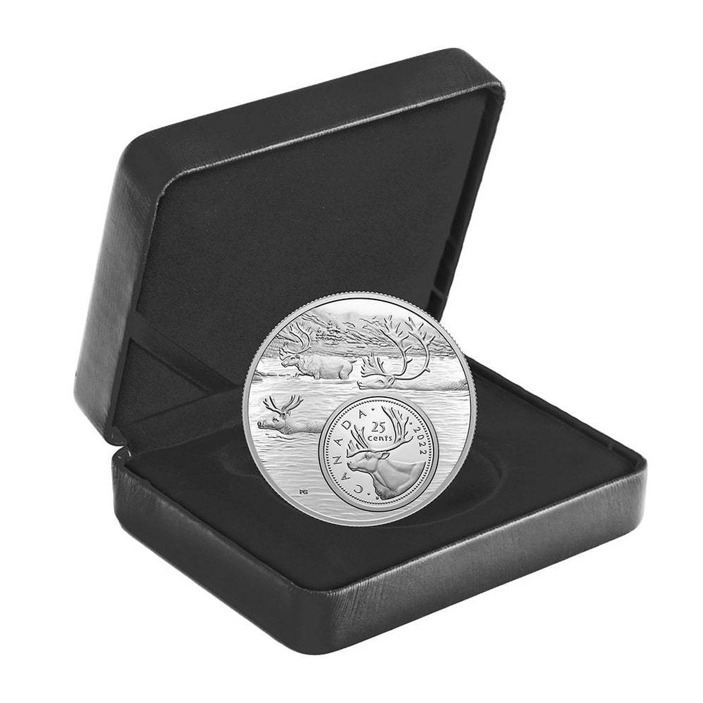 2022 5oz RCM Fine Silver- The Bigger Picture: The Caribou-3