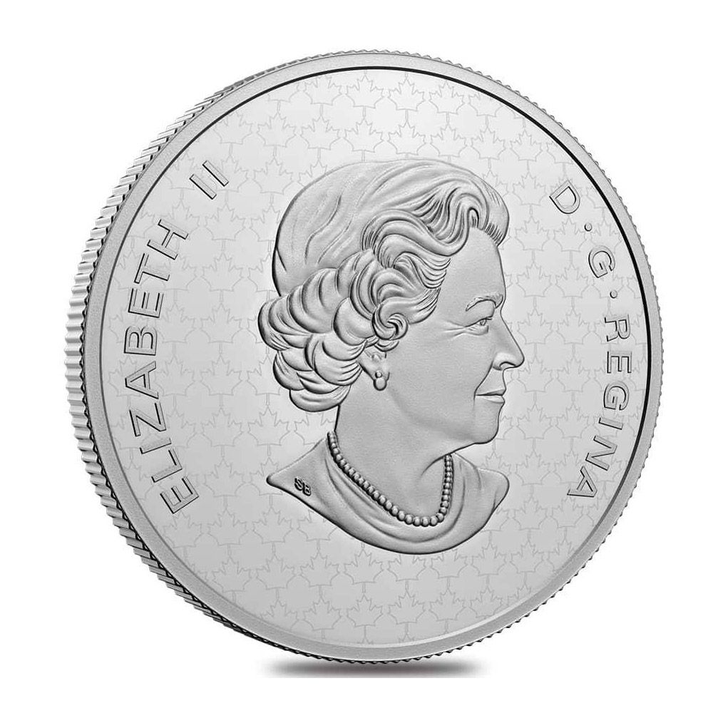 2022 5oz RCM Fine Silver- The Bigger Picture: The Caribou-2