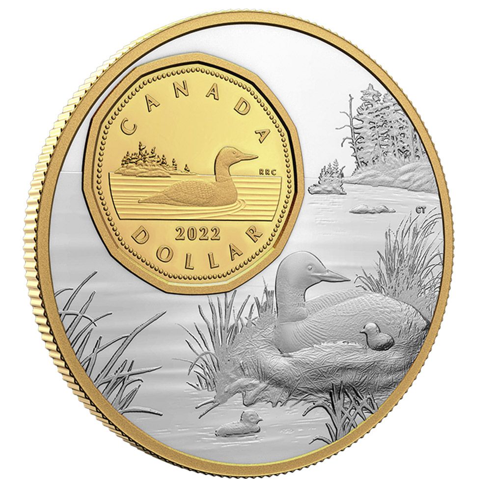 2022 5oz RCM Fine Silver- The Bigger Picture: Loon-2