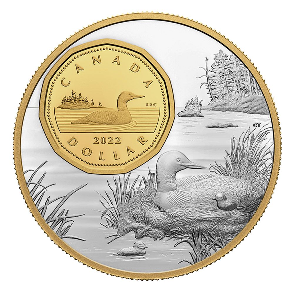 2022 5oz RCM Fine Silver- The Bigger Picture: Loon-1