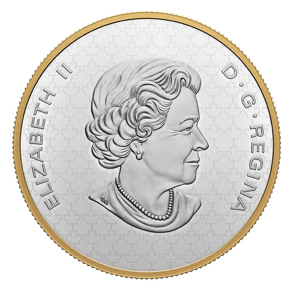 2022 5oz RCM Fine Silver- The Bigger Picture: Loon-3