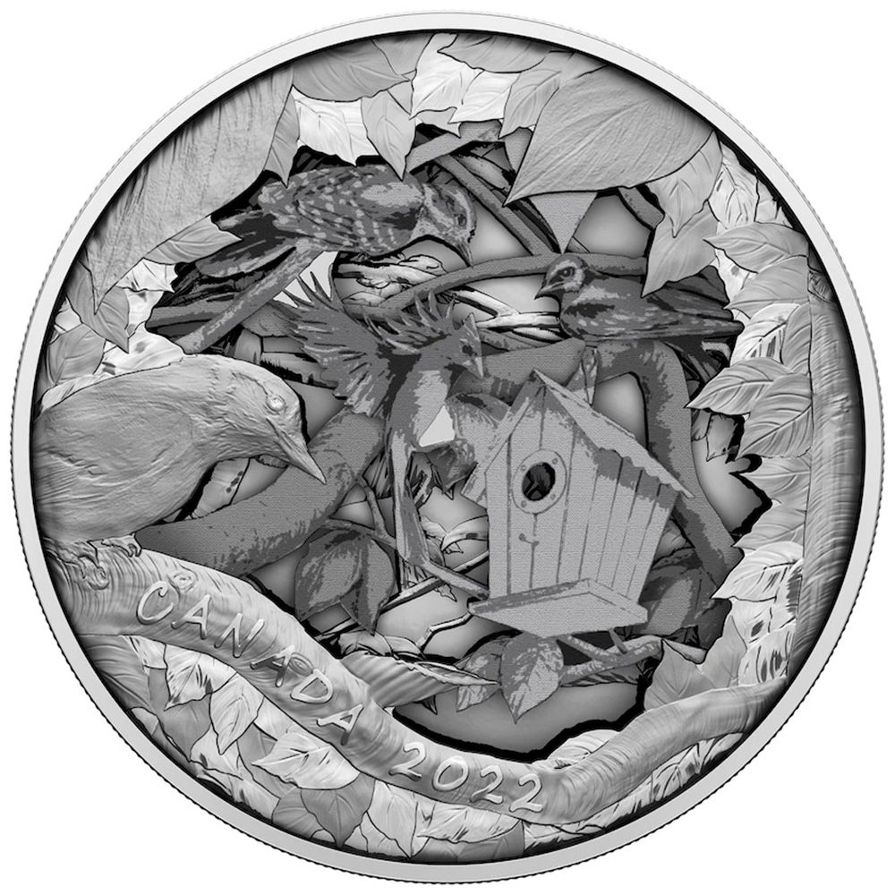 2022 Canada Silver $175 Birds in Shadow Box (R&D Lab) - Royal Canadian Mint