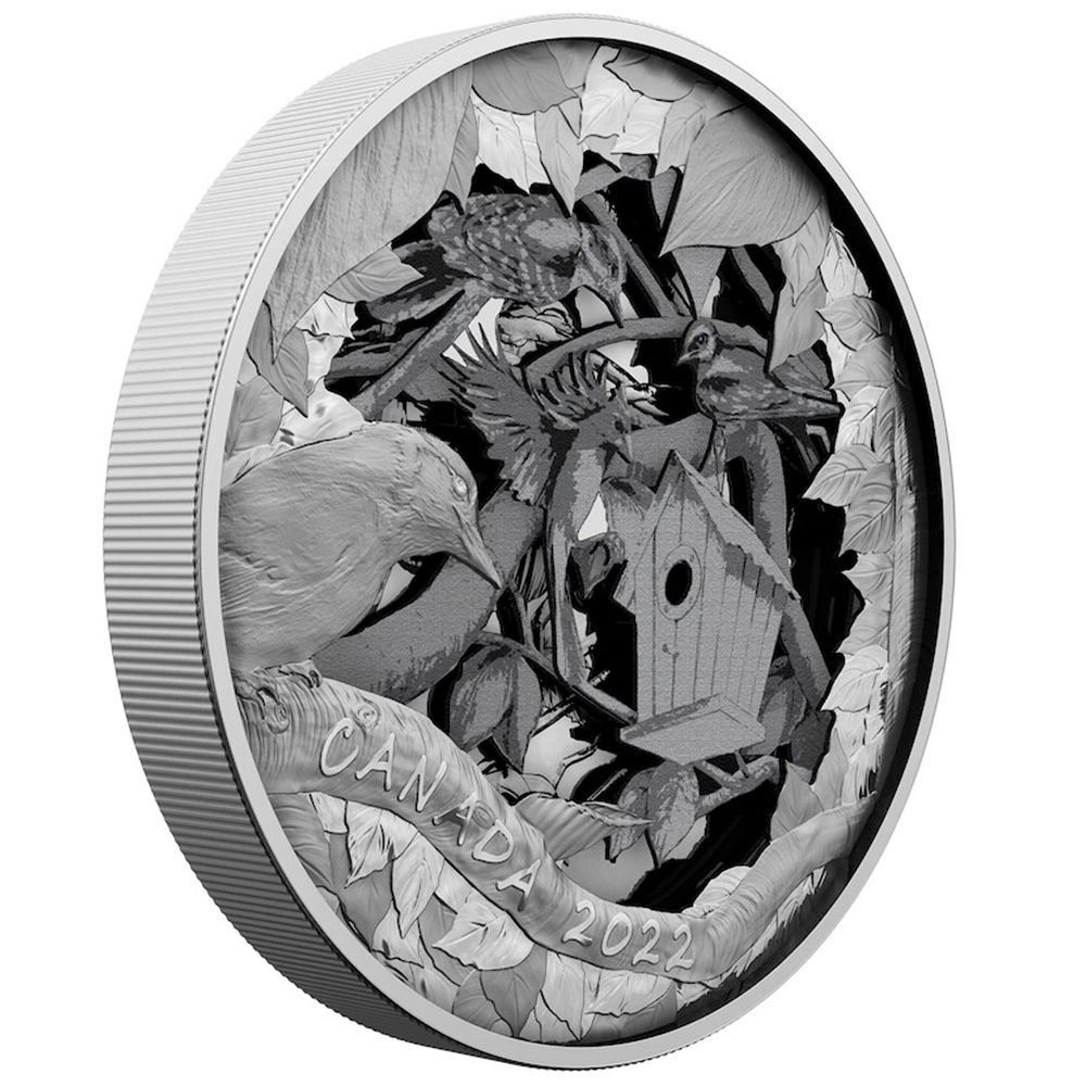 2022 Canada Silver $175 Birds in Shadow Box (R&D Lab) - Royal Canadian Mint
