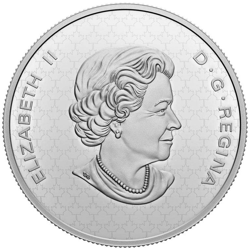 2022 Canada 50 cent 5 oz. Pure Silver The Bigger Picture Coat of Arms Coin - RCM