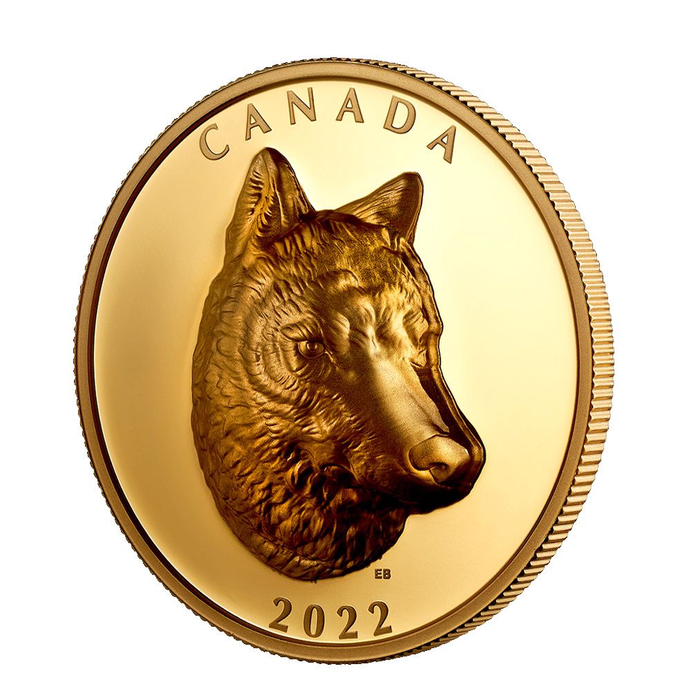 2022 $250 1oz Extraordinary HR Gold Coin - Timber Wolf-2