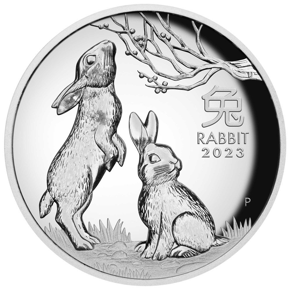 2023 1oz Perth Mint Year of the Rabbit Silver Proof High Relief Coin-2
