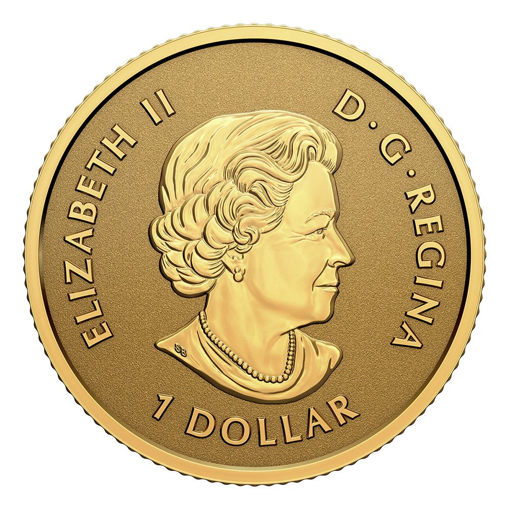 2023 4 Coin Gold Proof Fractional Set Canadian Maple-8