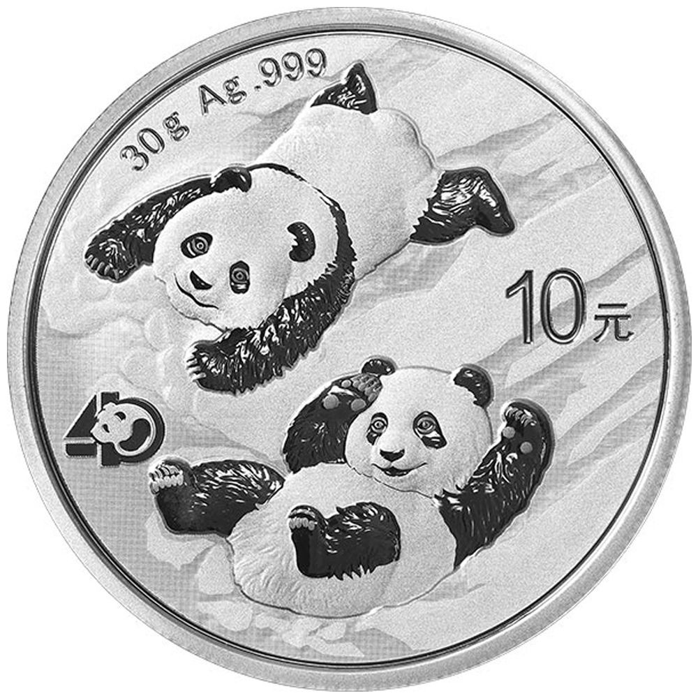 2022 30g Silver Chinese Panda BU Coin-1