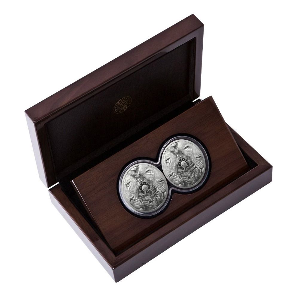 2022 SA Mint 1 oz Silver 10 Rand South Africa Big 5 II Double Lion Proof Coin Set
