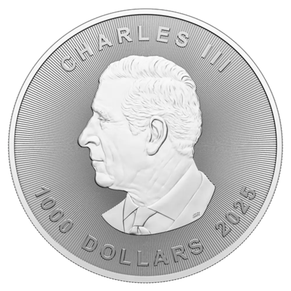 2025 Canada 10 Kilo 99.99 Silver Big Silver Maple Leaf