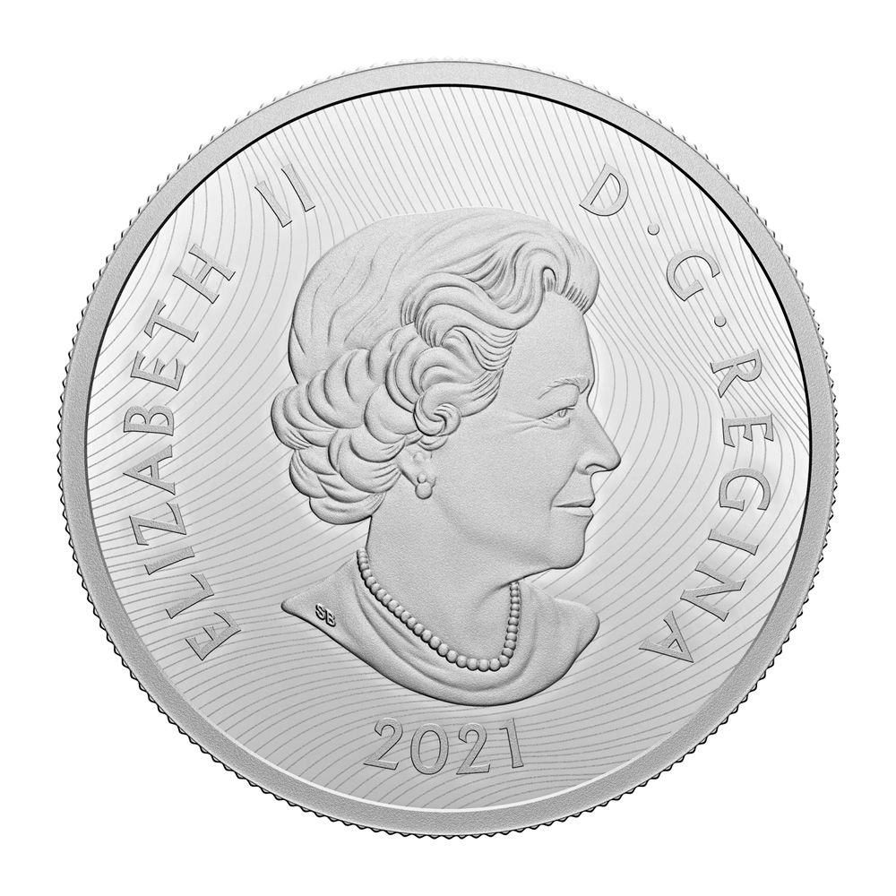 2021 $25 1oz Fine Silver - Bold Bison .9999 3