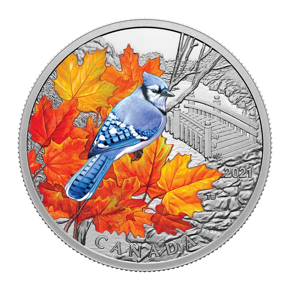 2021 $20 1oz Pure Silver - Colourful birds: Blue Jay