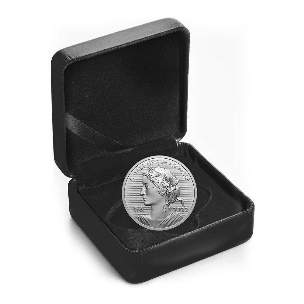 2022 1oz Royal Canadian Mint Fine Silver - Peace Dollar case 3